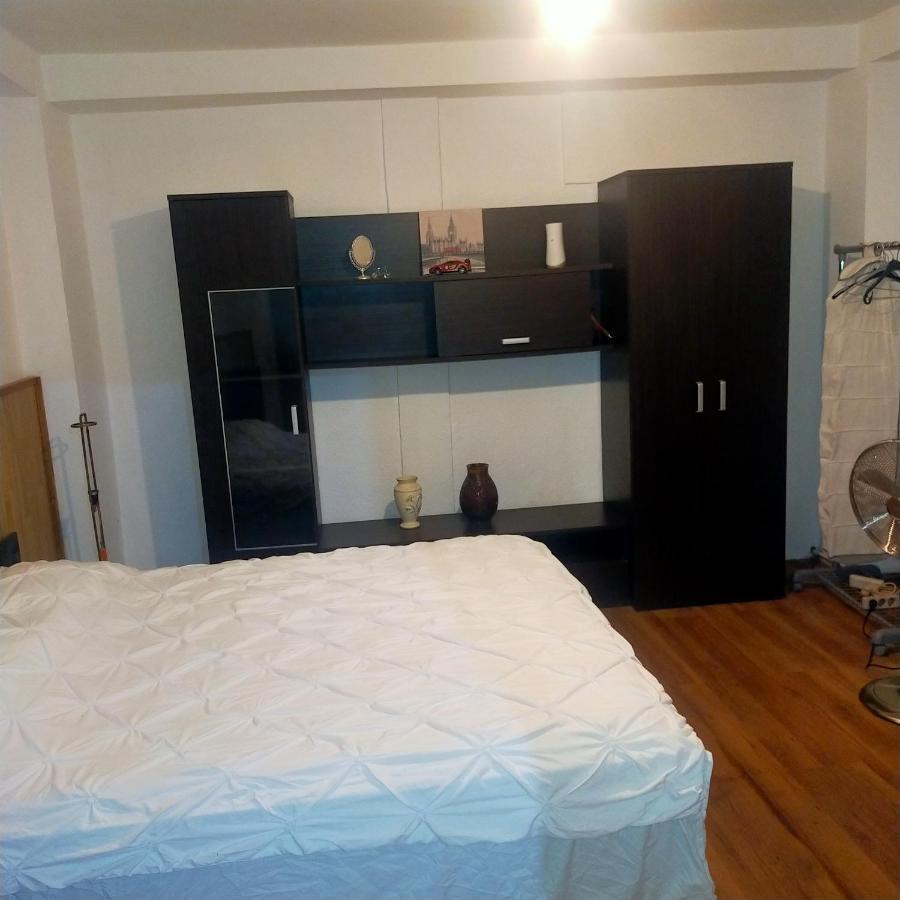 Vila Elena Ap 1 Bukarest Kültér fotó