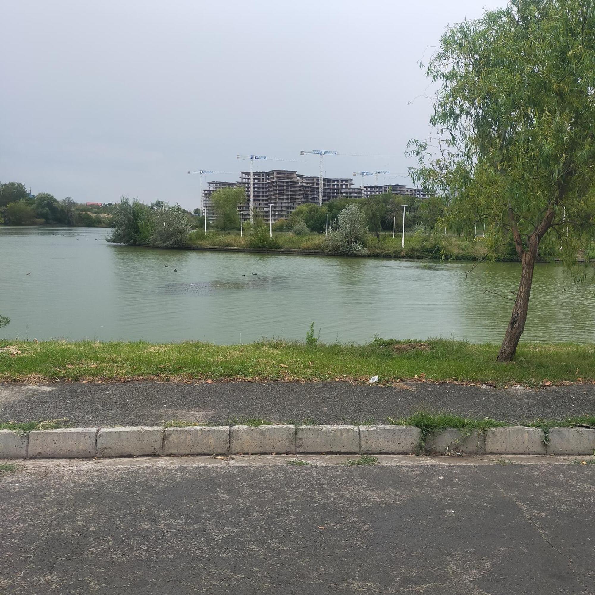 Vila Elena Ap 1 Bukarest Kültér fotó